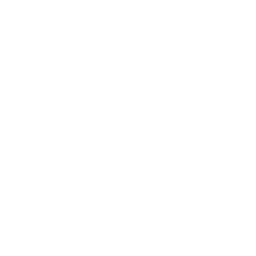 Vlog