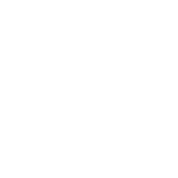 Dishes